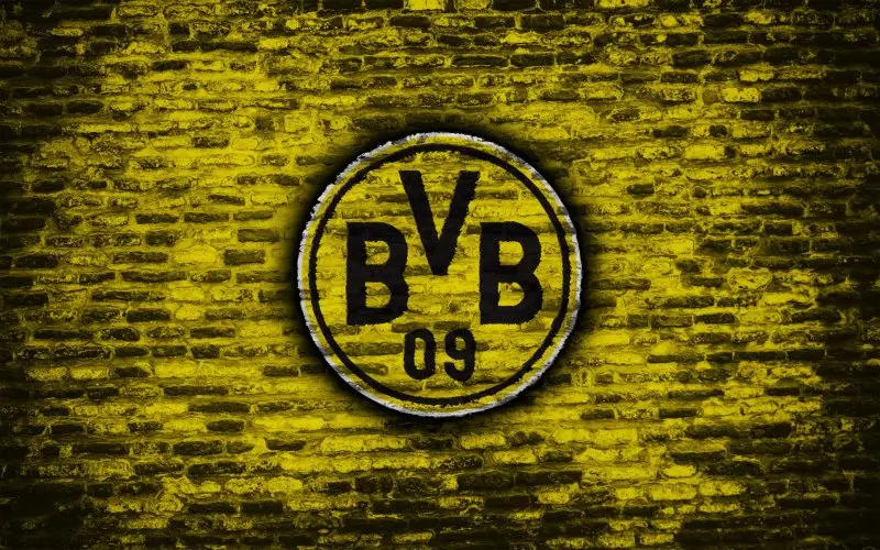 ảnh Borussia Dortmund 26