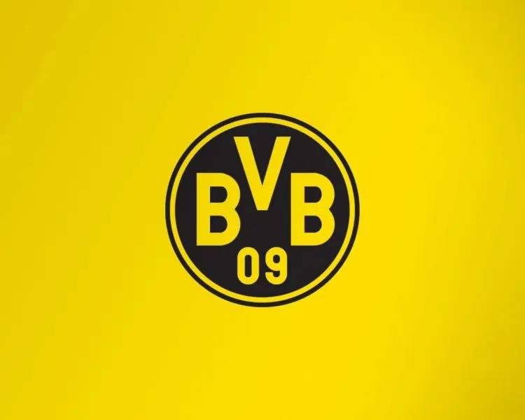 ảnh Borussia Dortmund 54