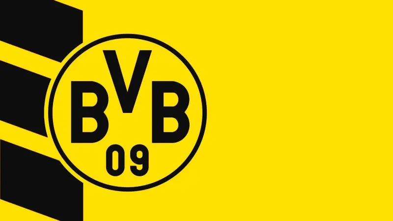 ảnh Borussia Dortmund 68