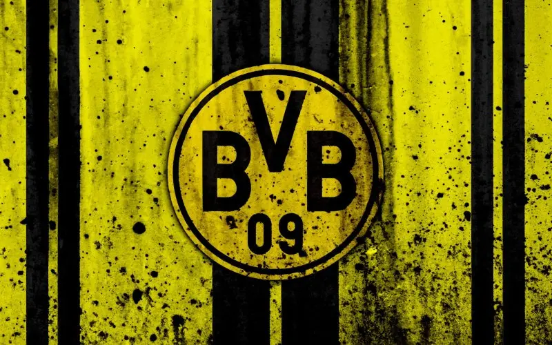 ảnh Borussia Dortmund 73