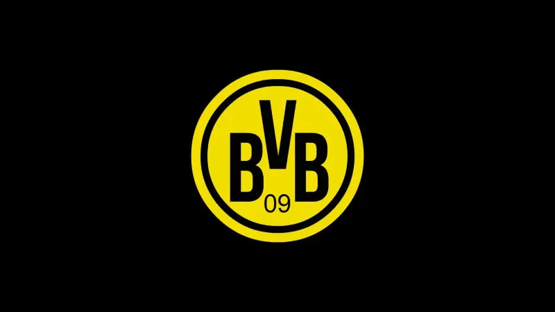 ảnh Borussia Dortmund 08