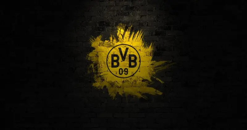 ảnh Borussia Dortmund 18