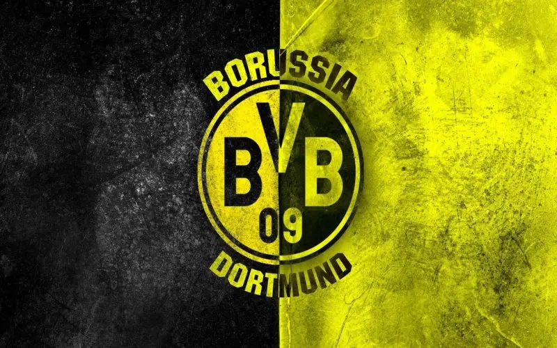 ảnh Borussia Dortmund 19