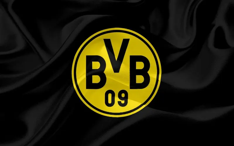 ảnh Borussia Dortmund 21