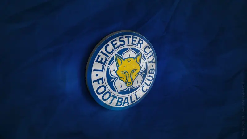 Ảnh leicester City 16