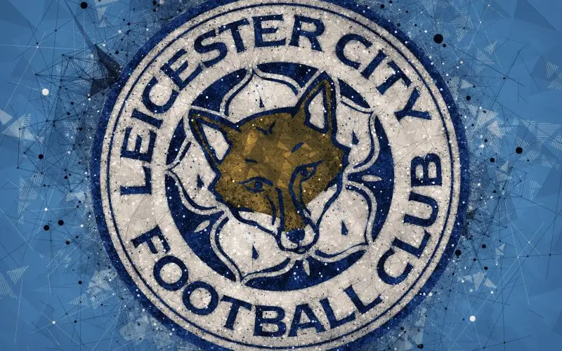 Ảnh leicester City 26