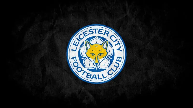 Ảnh leicester City 42