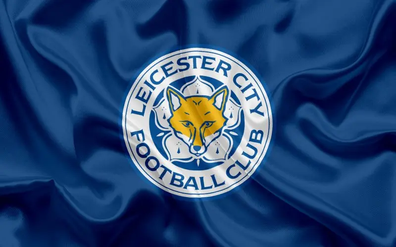 Ảnh leicester City 47