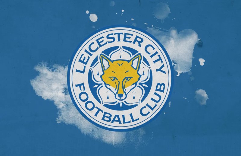Ảnh leicester City 57