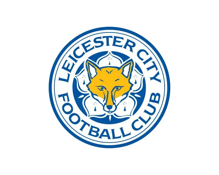 Ảnh leicester City 63