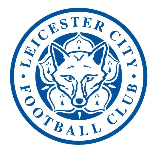 Ảnh leicester City 03