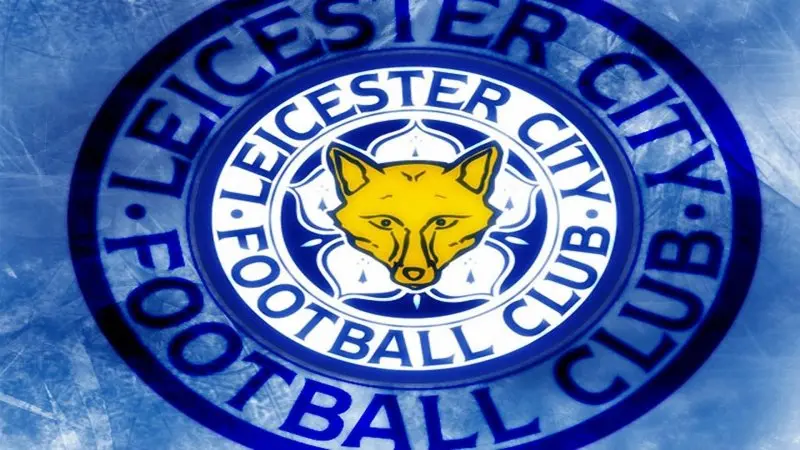 Ảnh leicester City 04
