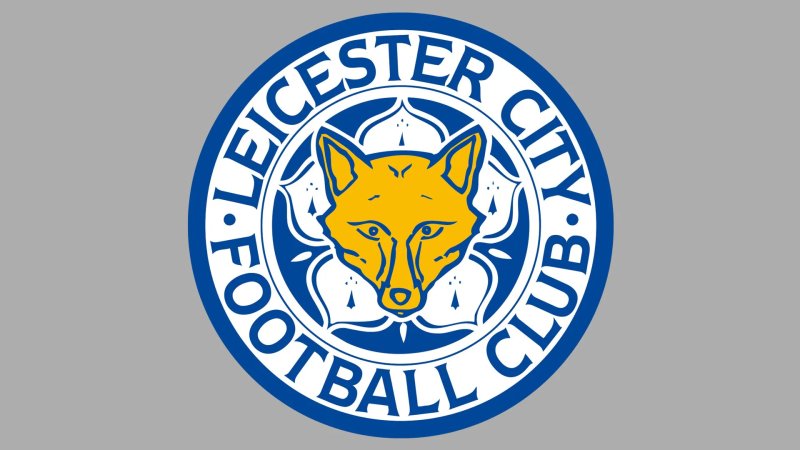 Ảnh leicester City 08