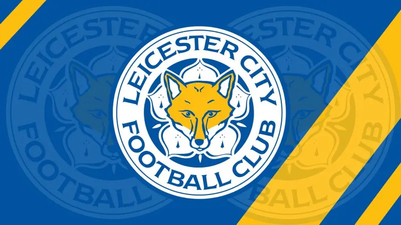 Ảnh leicester City 15