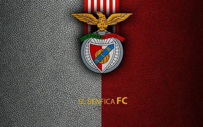 Ảnh Benfica 14