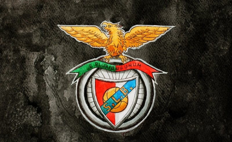 Ảnh Benfica 19