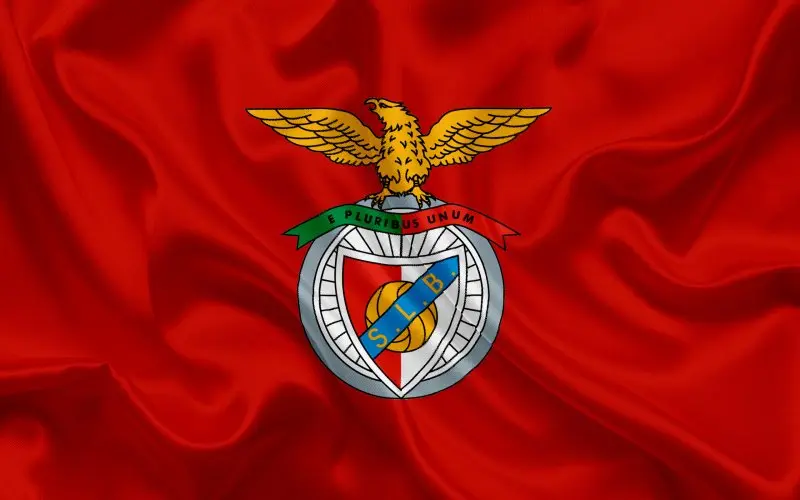 Ảnh Benfica 25