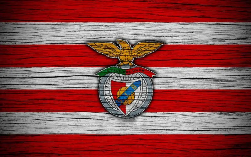 Ảnh Benfica 44