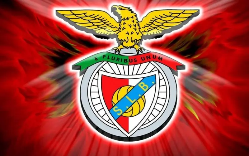 Ảnh Benfica 48