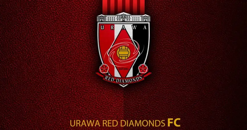 Urawa Red Diamonds 35