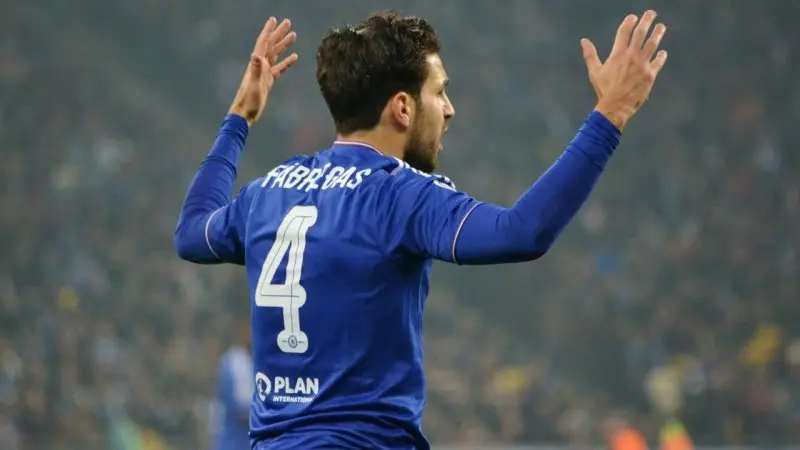 ảnh chế Cesc Fàbregas 1