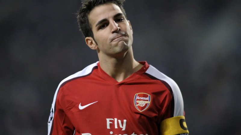 ảnh chế Cesc Fàbregas 16