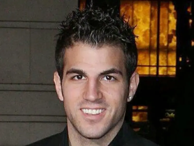 ảnh chế Cesc Fàbregas 18