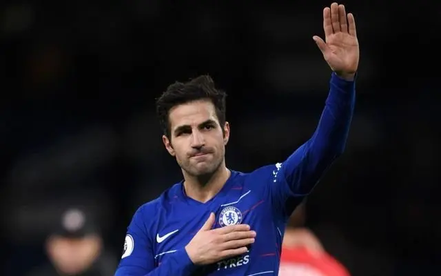 ảnh chế Cesc Fàbregas 19