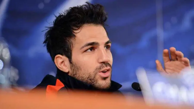 ảnh chế Cesc Fàbregas 32