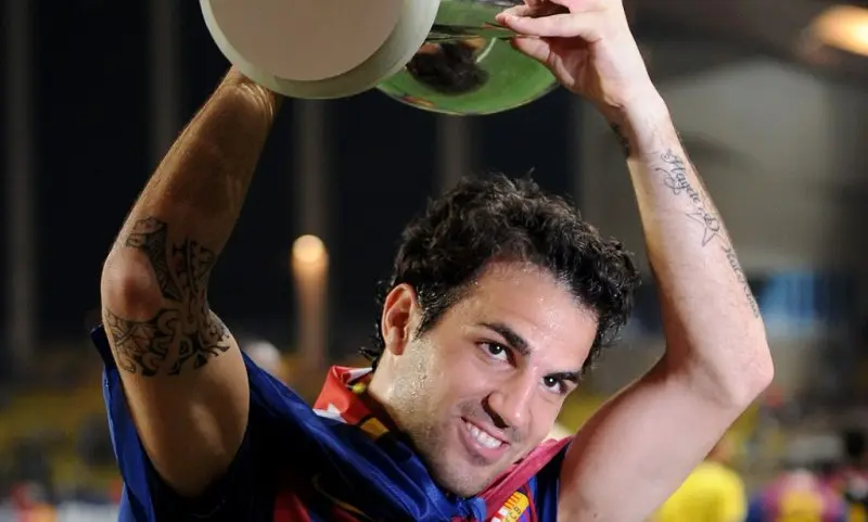 ảnh chế Cesc Fàbregas 34