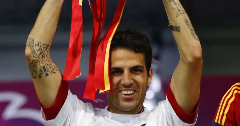 ảnh chế Cesc Fàbregas 35