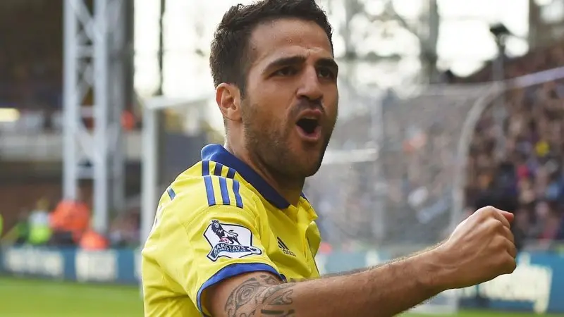 ảnh chế Cesc Fàbregas 36