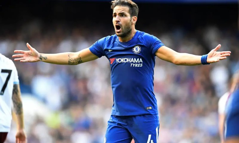 ảnh chế Cesc Fàbregas 40