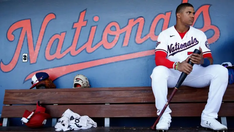 Top 95+ ảnh Juan Soto, ngôi sao trẻ sáng nhất Washington Nationals 11