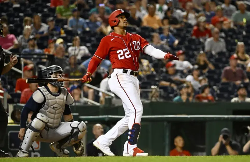 Top 95+ ảnh Juan Soto, ngôi sao trẻ sáng nhất Washington Nationals 15