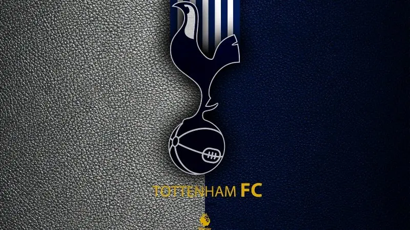 Đắm chìm trong thế giới ảnh câu lạc bộ tottenham hotspur