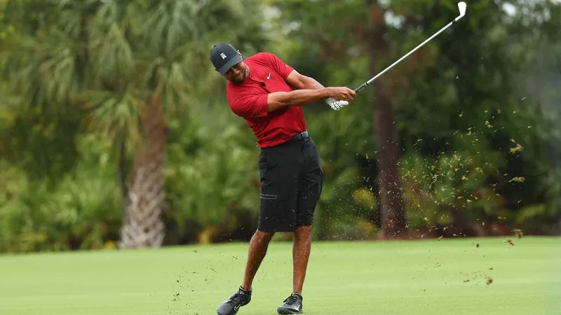 Tiger Woods là ai 6