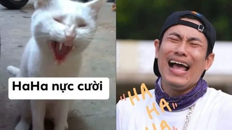 Ảnh meme hài 14