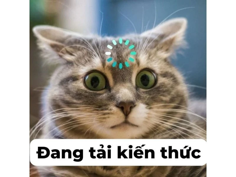 Ảnh meme hài 48