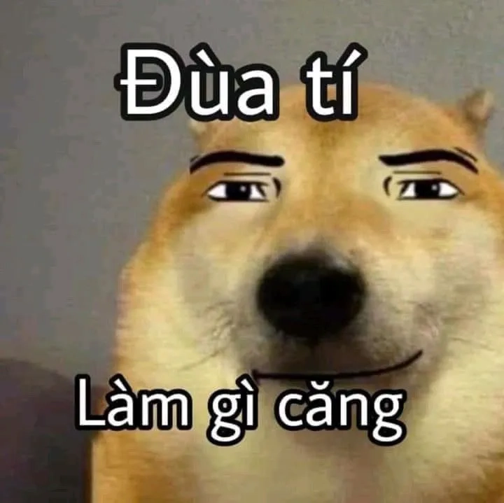 Phong cách không đụng hàng với avatar meme hài bựa độc đáo