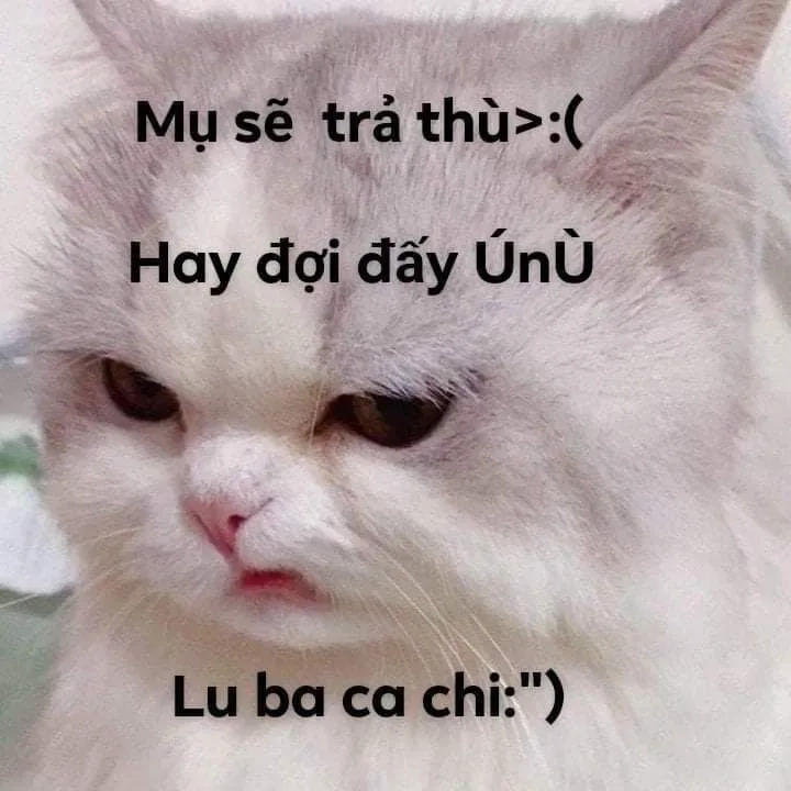 Hài hước và ấn tượng với meme ếch xanh bựa không đụng hàng