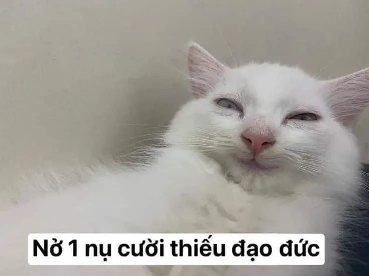 Giải trí cực mạnh với chế bựa meme bựa ảnh chế siêu độc đáo