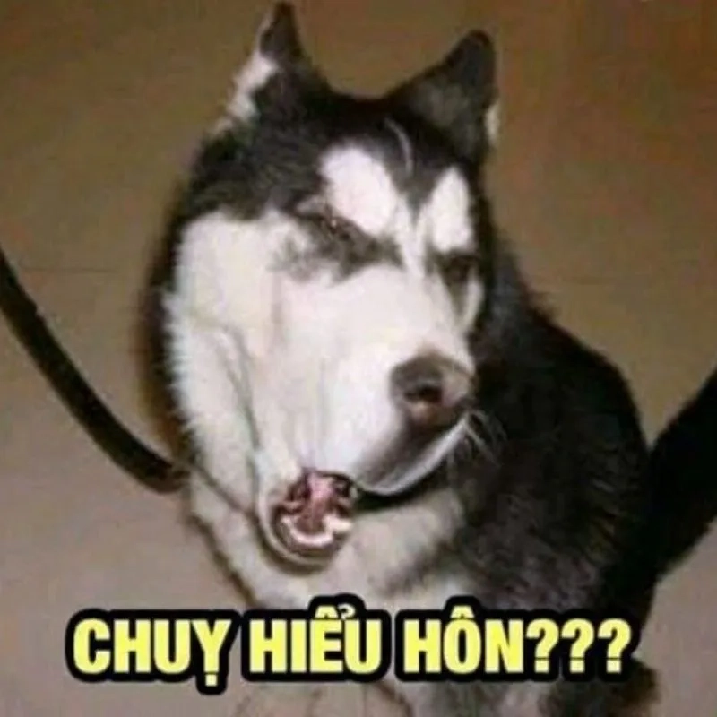 Cười sảng khoái với ảnh meme bựa cực kỳ hài hước