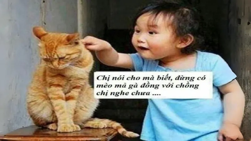 Tăng độ dễ thương với meme cute hình icon dễ thương