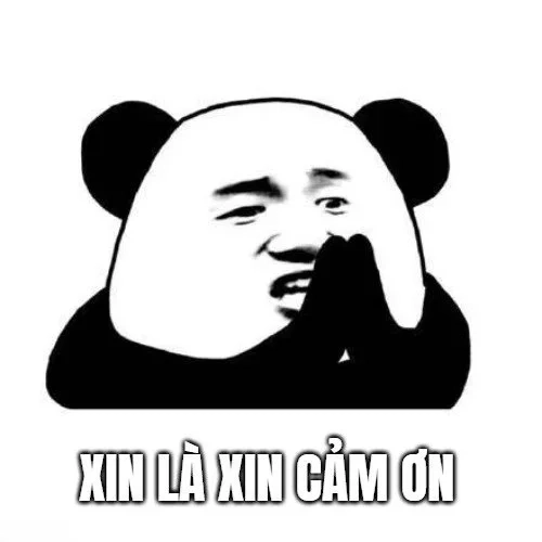 Hình meme cảm ơn đầy cảm động và đáng nhớ