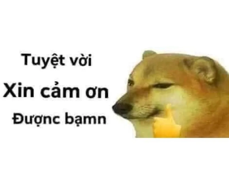 Cảm ơn cô và các bạn đã lắng nghe meme là lời tri ân học đường