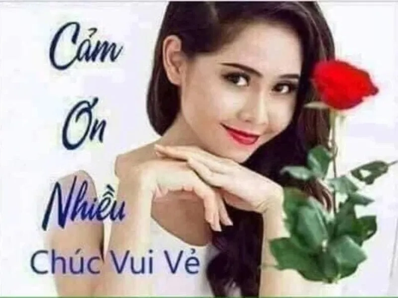 Cảm ơn vì đã lắng nghe meme thể hiện sự trân trọng và ấm áp