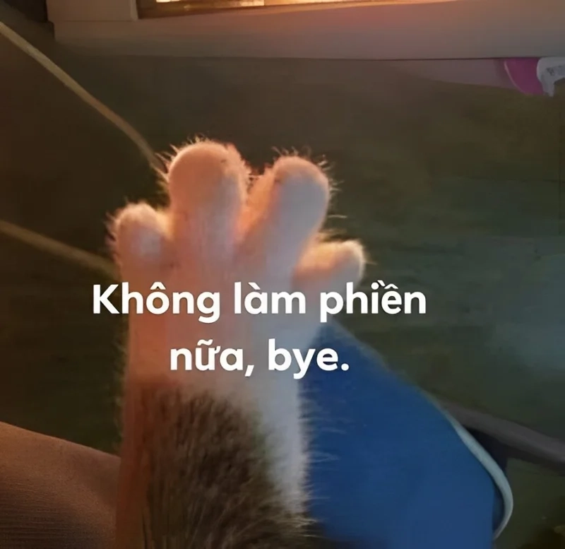 Hình ảnh tạm biệt meme cực đáng yêu cho mọi cuộc chia tay.