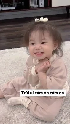 Bộ sưu tập meme hài bựa chó siêu lầy đáng để chia sẻ ngay