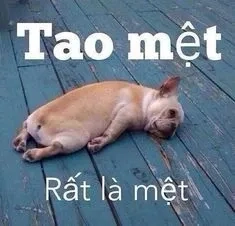 Bộ sưu tập ảnh chế meme bất lực siêu độc đáo